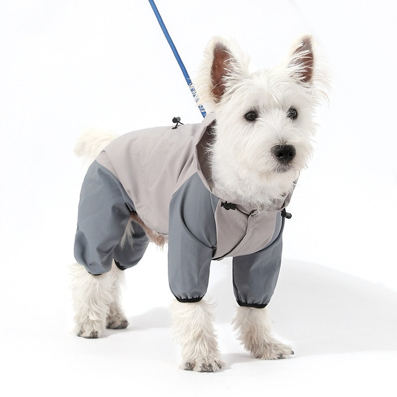 puppy raincoat